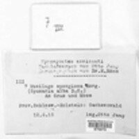 Image Associated With the Occurence